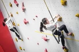 阿尔托贝利：那不勒斯目标应是欧冠；大家不要给皮奥施加压力