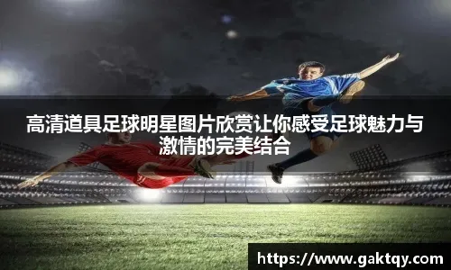 南洋杯新加坡开赛 常昊：让围棋魅力辐射更广